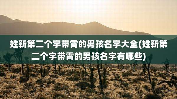 姓靳第二个字带霄的男孩名字大全(姓靳第二个字带霄的男孩名字有哪些)