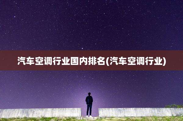 汽车空调行业国内排名(汽车空调行业)