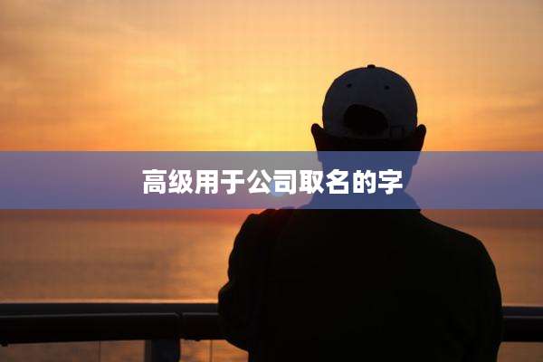 高级用于公司取名的字