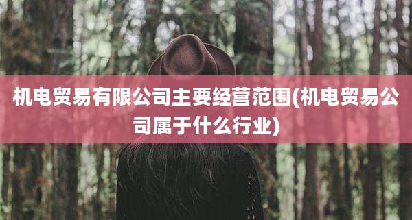 机电贸易有限公司主要经营范围(机电贸易公司属于什么行业)