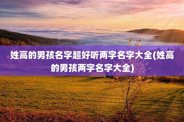 姓高的男孩名字超好听两字名字大全(姓高的男孩两字名字大全)