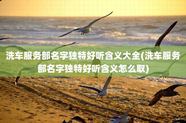 洗车服务部名字独特好听含义大全(洗车服务部名字独特好听含义怎么取)