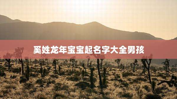 奚姓龙年宝宝起名字大全男孩