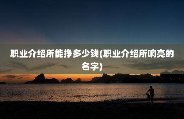 职业介绍所能挣多少钱(职业介绍所响亮的名字)