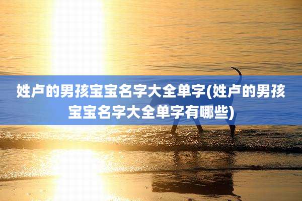 姓卢的男孩宝宝名字大全单字(姓卢的男孩宝宝名字大全单字有哪些)