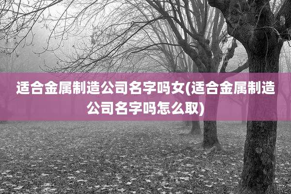 适合金属制造公司名字吗女(适合金属制造公司名字吗怎么取)