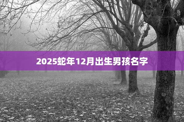 2025蛇年12月出生男孩名字