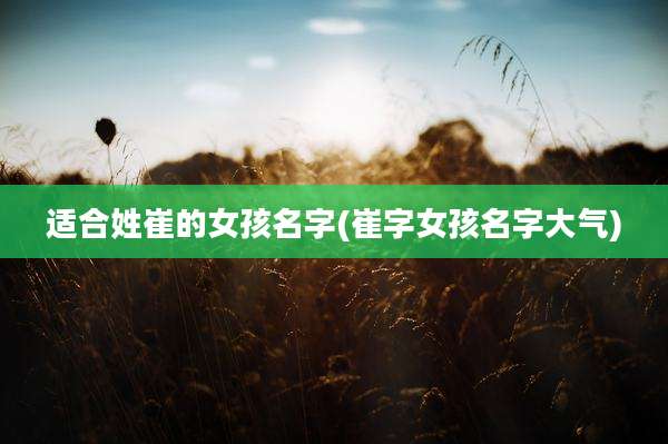 适合姓崔的女孩名字(崔字女孩名字大气)