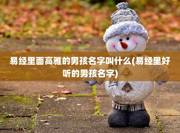易经里面高雅的男孩名字叫什么(易经里好听的男孩名字)