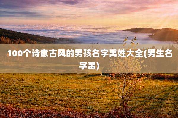 100个诗意古风的男孩名字禹姓大全(男生名字禹)