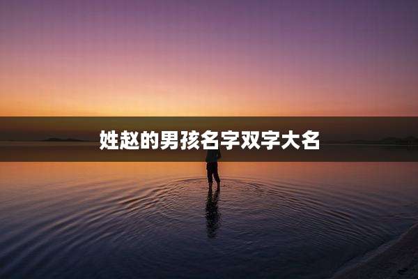 姓赵的男孩名字双字大名