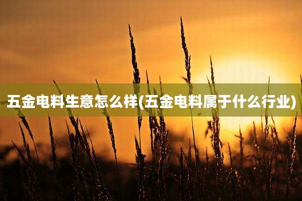 五金电料生意怎么样(五金电料属于什么行业)