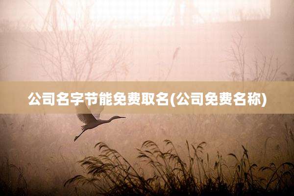 公司名字节能免费取名(公司免费名称)