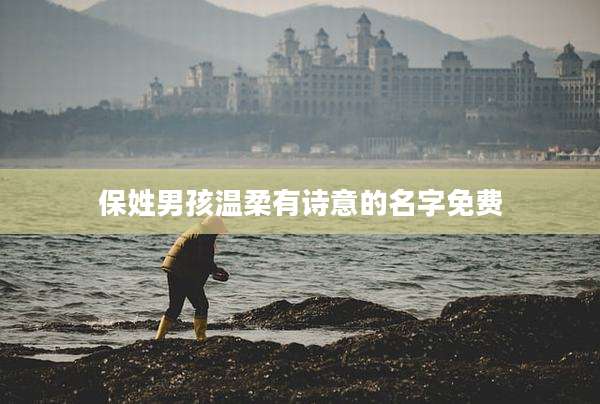 保姓男孩温柔有诗意的名字免费