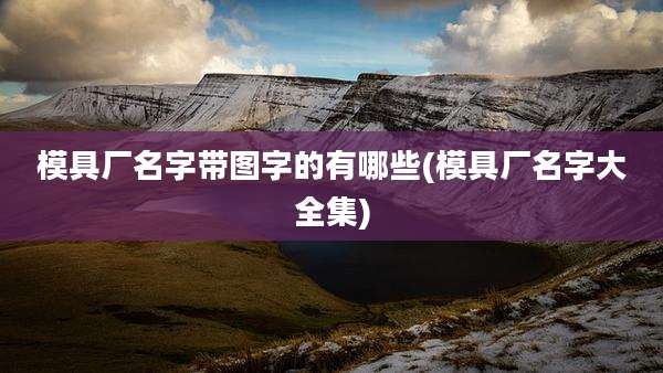 模具厂名字带图字的有哪些(模具厂名字大全集)