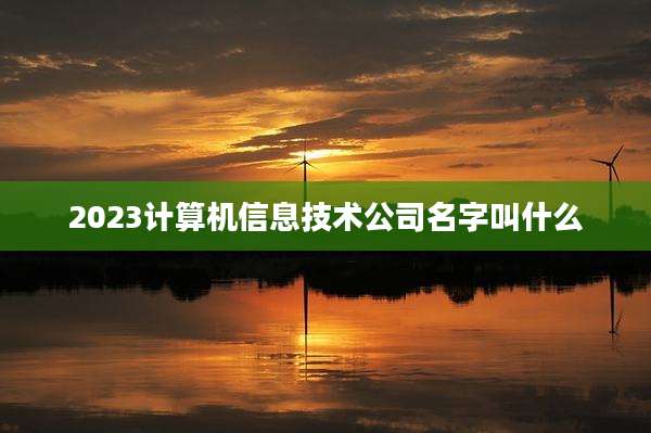 2023计算机信息技术公司名字叫什么