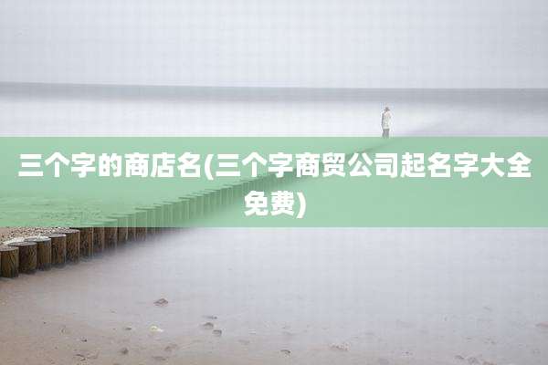 三个字的商店名(三个字商贸公司起名字大全免费)