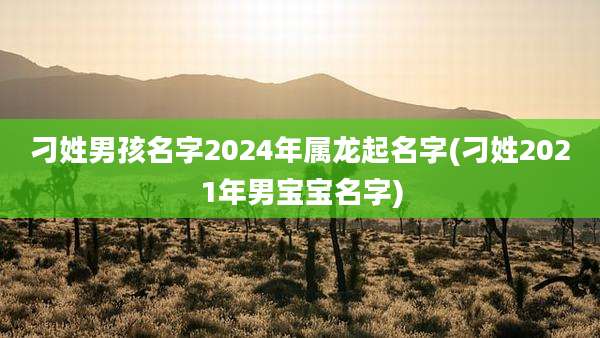 刁姓男孩名字2024年属龙起名字(刁姓2021年男宝宝名字)