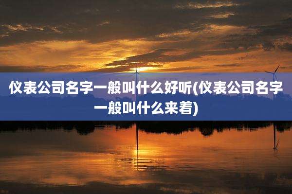仪表公司名字一般叫什么好听(仪表公司名字一般叫什么来着)