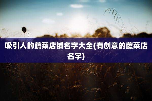 吸引人的蔬菜店铺名字大全(有创意的蔬菜店名字)