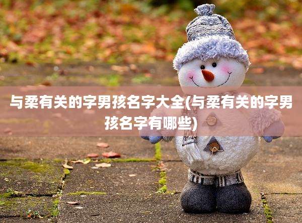 与柔有关的字男孩名字大全(与柔有关的字男孩名字有哪些)