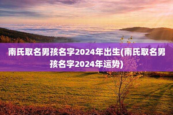 南氏取名男孩名字2024年出生(南氏取名男孩名字2024年运势)