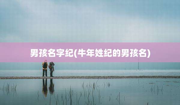 男孩名字纪(牛年姓纪的男孩名)