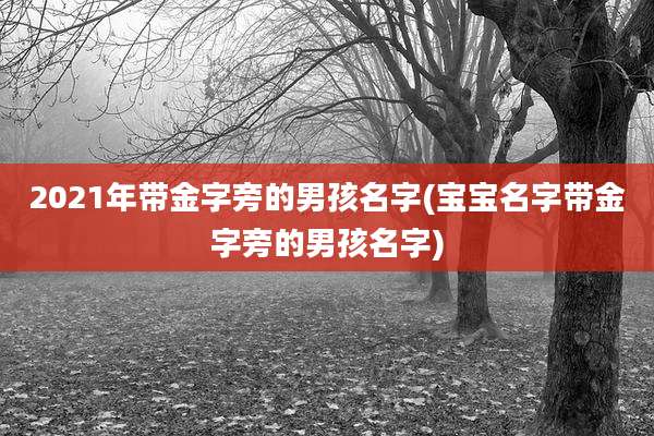2021年带金字旁的男孩名字(宝宝名字带金字旁的男孩名字)