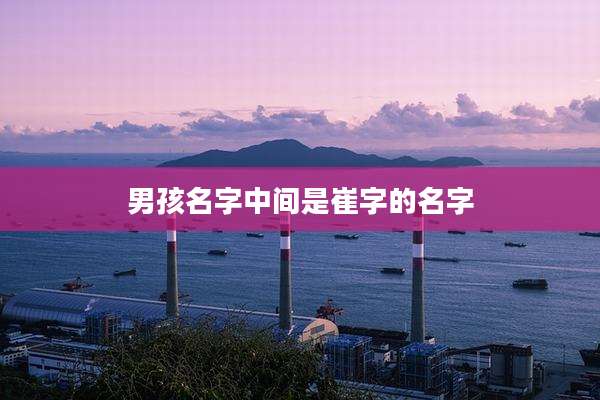 男孩名字中间是崔字的名字