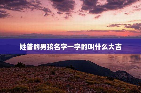 姓普的男孩名字一字的叫什么大吉