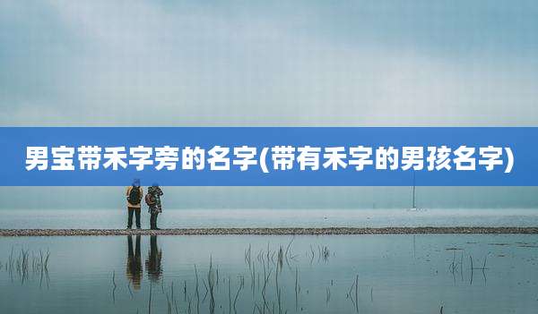 男宝带禾字旁的名字(带有禾字的男孩名字)