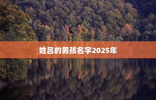 姓吕的男孩名字2025年