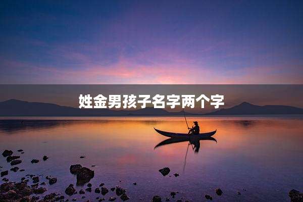 姓金男孩子名字两个字