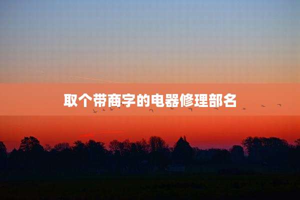 取个带商字的电器修理部名
