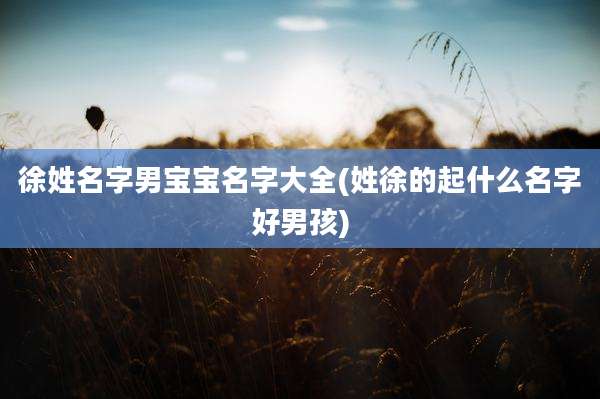 徐姓名字男宝宝名字大全(姓徐的起什么名字好男孩)
