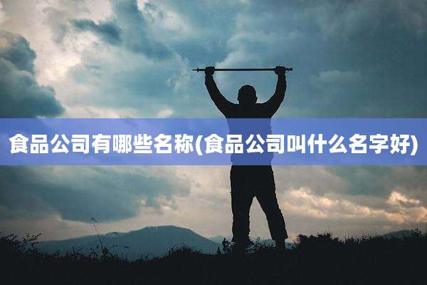 食品公司有哪些名称(食品公司叫什么名字好)