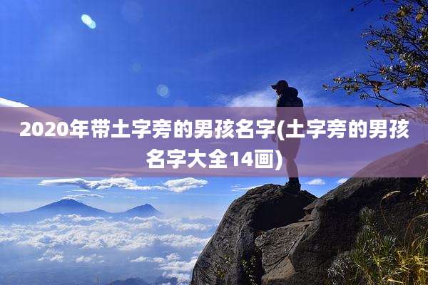 2020年带土字旁的男孩名字(土字旁的男孩名字大全14画)