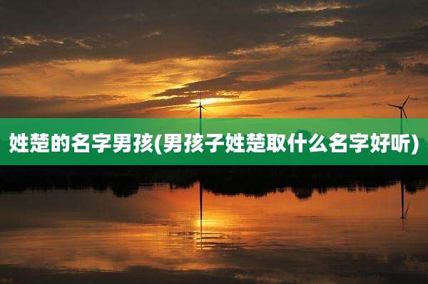 姓楚的名字男孩(男孩子姓楚取什么名字好听)