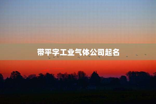 带平字工业气体公司起名