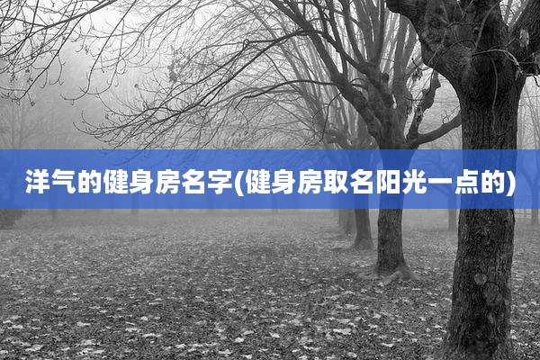 洋气的健身房名字(健身房取名阳光一点的)