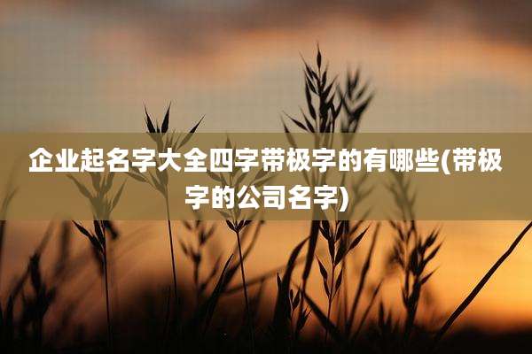 企业起名字大全四字带极字的有哪些(带极字的公司名字)