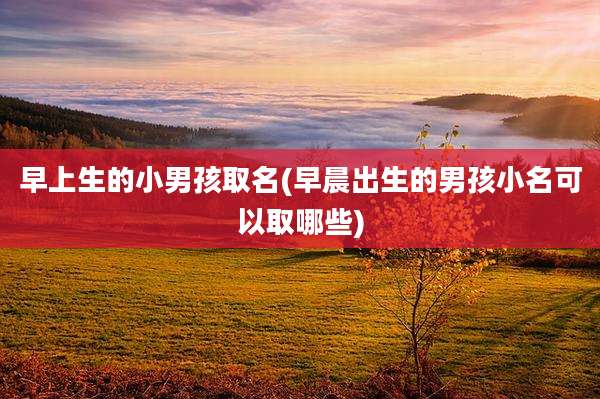 早上生的小男孩取名(早晨出生的男孩小名可以取哪些)