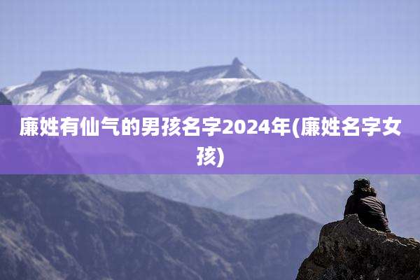 廉姓有仙气的男孩名字2024年(廉姓名字女孩)
