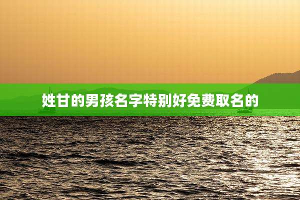姓甘的男孩名字特别好免费取名的