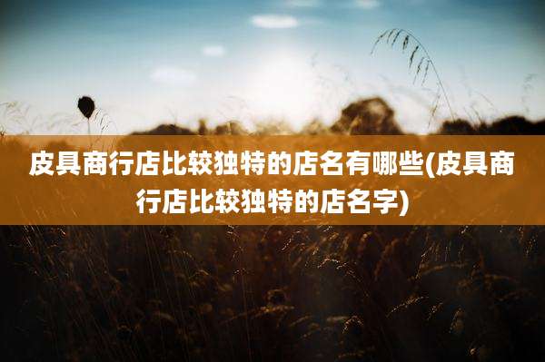 皮具商行店比较独特的店名有哪些(皮具商行店比较独特的店名字)