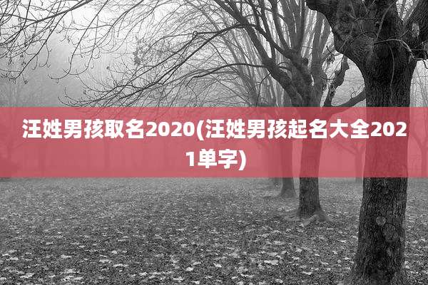 汪姓男孩取名2020(汪姓男孩起名大全2021单字)