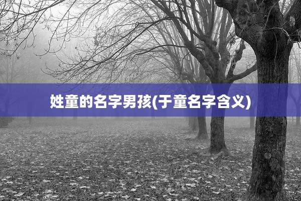 姓童的名字男孩(于童名字含义)