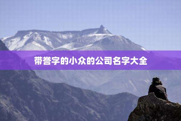 带誉字的小众的公司名字大全