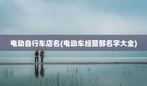 电动自行车店名(电动车经营部名字大全)