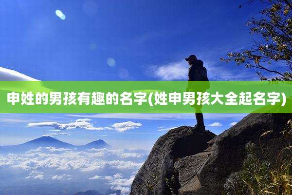 申姓的男孩有趣的名字(姓申男孩大全起名字)